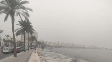 تقلبات جوية مفاجئة.. الأرصاد تحذر من حالة طقس الأحد 8 فبراير 2026